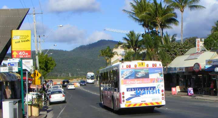 Whitsunday Transit Mercedes Benz O405NH Bustech Fantasea 12